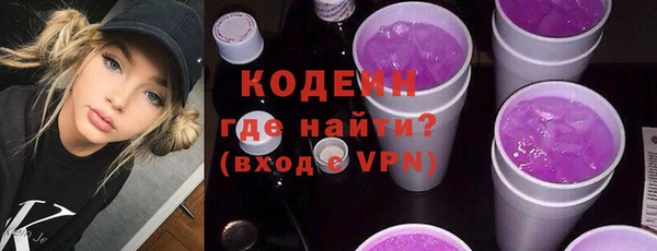apvp Иннополис