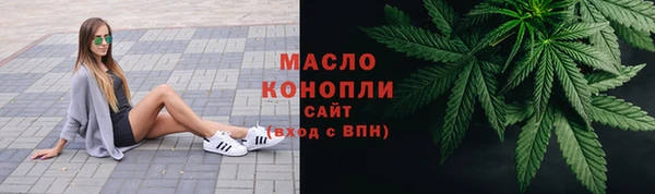 трава Инта