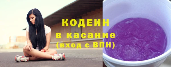 apvp Иннополис