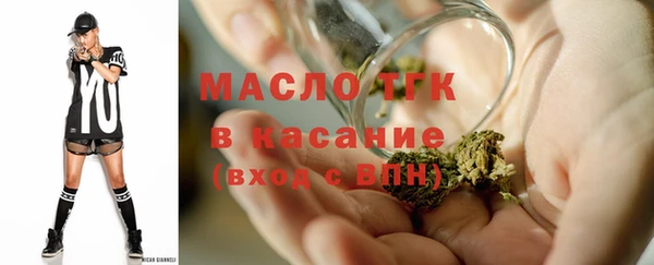 трава Инта