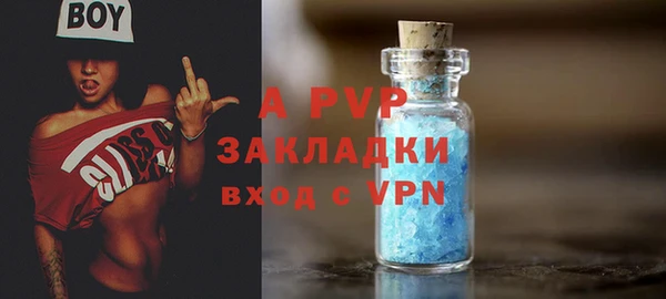 МДПВ Снежинск