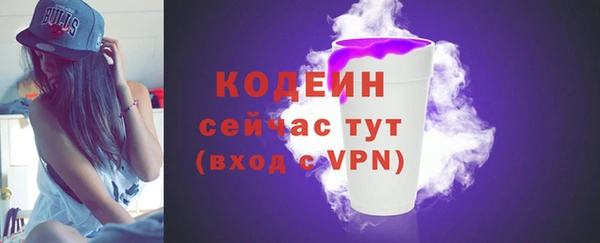 apvp Иннополис