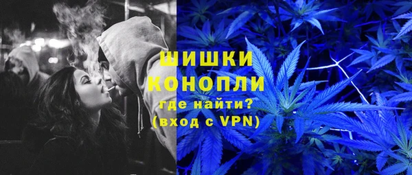 МДПВ Снежинск