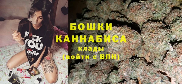 метадон Снежногорск