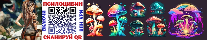 Купить где  Буй  Галлюциногенные грибы MAGIC MUSHROOMS 